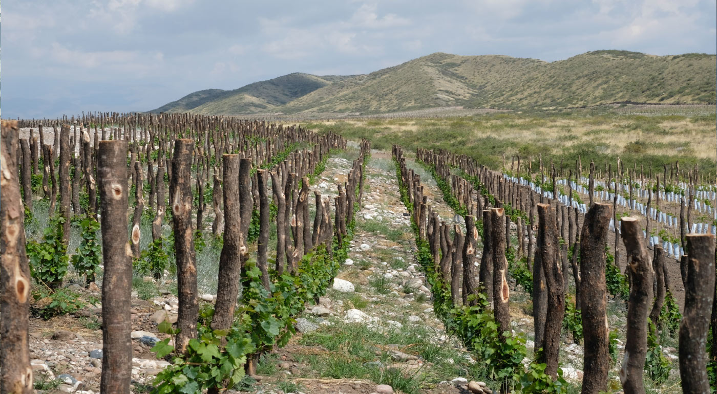 fincas-las-cerrilladas