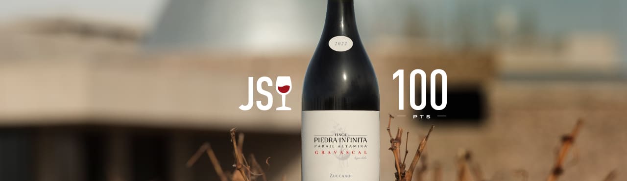 Lee más sobre el artículo Único vino argentino con 100 puntos